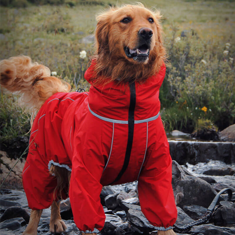 Wasserdichte Hunde-Regenjacke – Verstellbare Outdoor-Jacke für Hunde