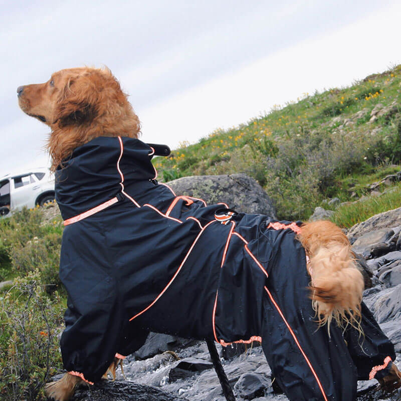 Wasserdichte Hunde-Regenjacke – Verstellbare Outdoor-Jacke für Hunde