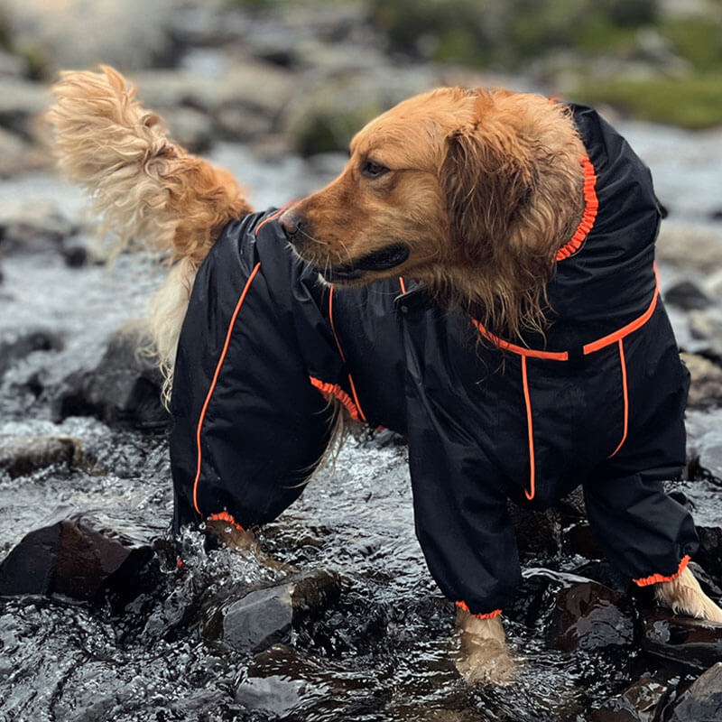 Wasserdichte Hunde-Regenjacke – Verstellbare Outdoor-Jacke für Hunde