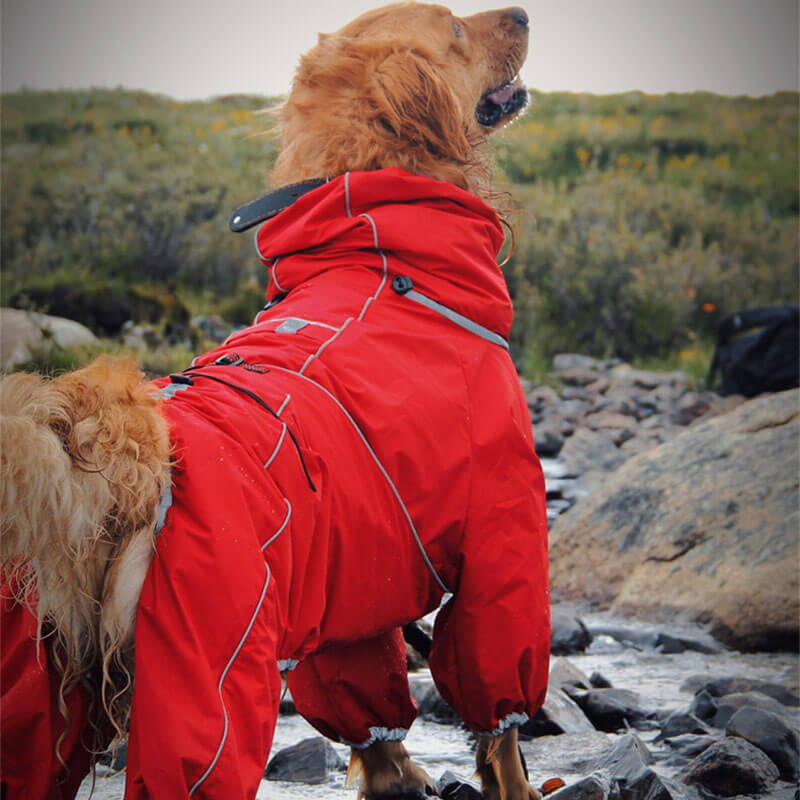 Wasserdichte Hunde-Regenjacke – Verstellbare Outdoor-Jacke für Hunde