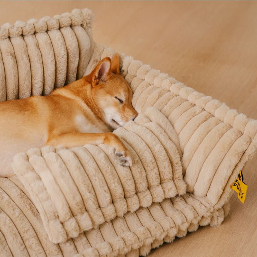 DroomPoot Orthopädisches Hundebett – Robuste Liegefläche mit Nackenstütze und Abnehmbarem Bezug