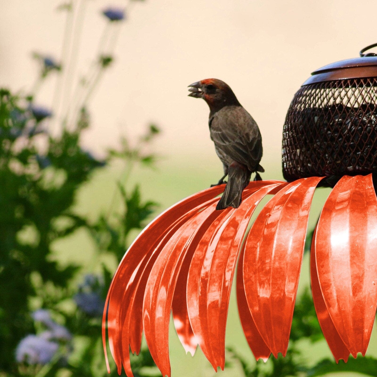 Vogelfutterhaus – 50% RABATT heute!