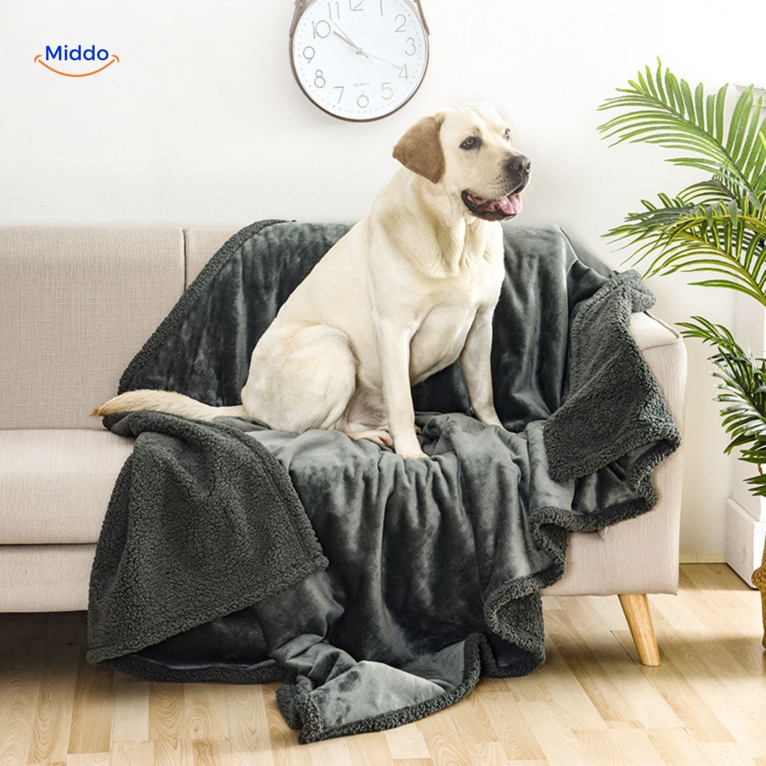 PawShield Decke | Wasserdicht und weicher Baumwollvelours für optimalen Schutz!