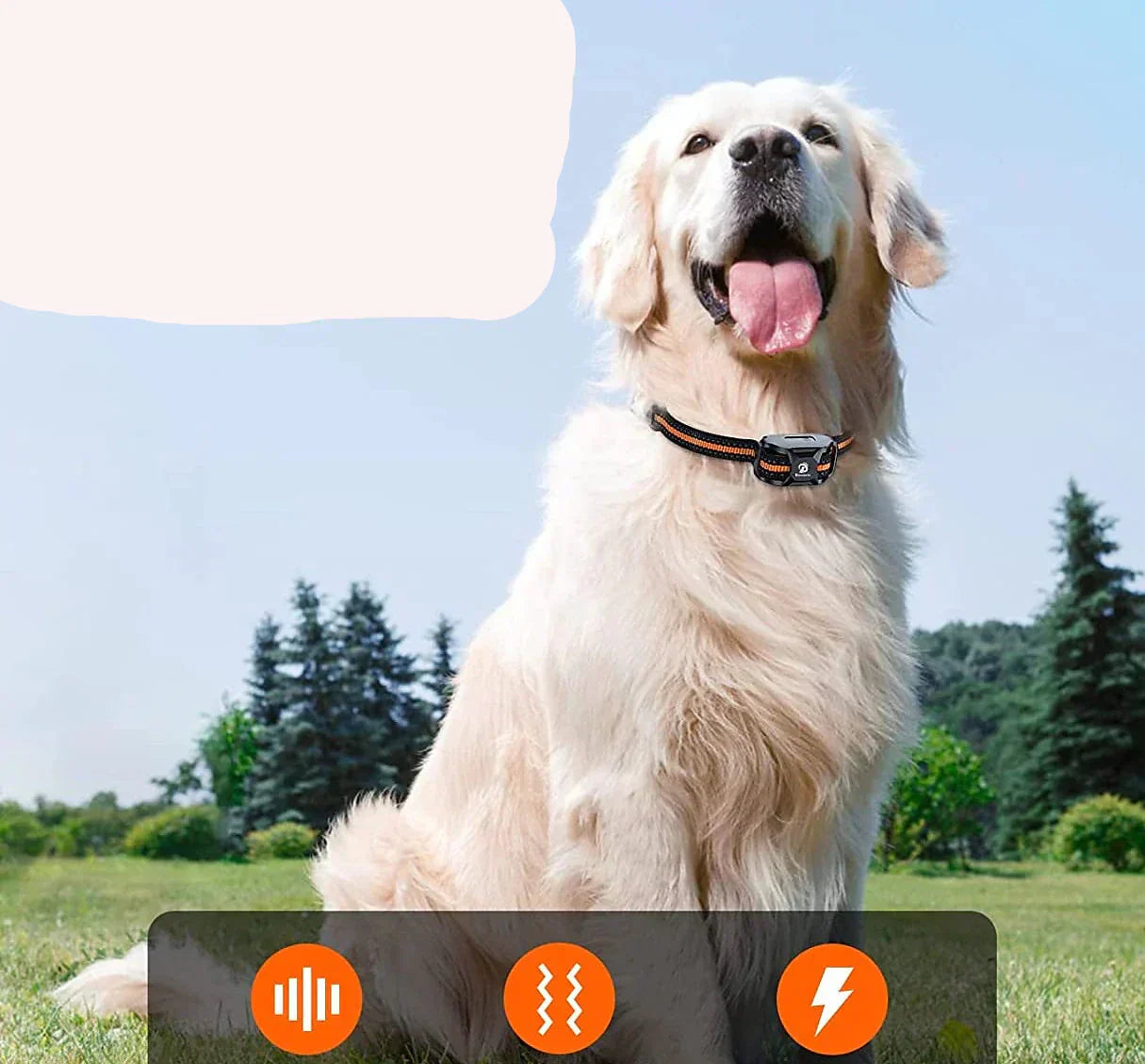 NovaPace Hundetraining Halsband mit 1000m Reichweite, wasserdicht