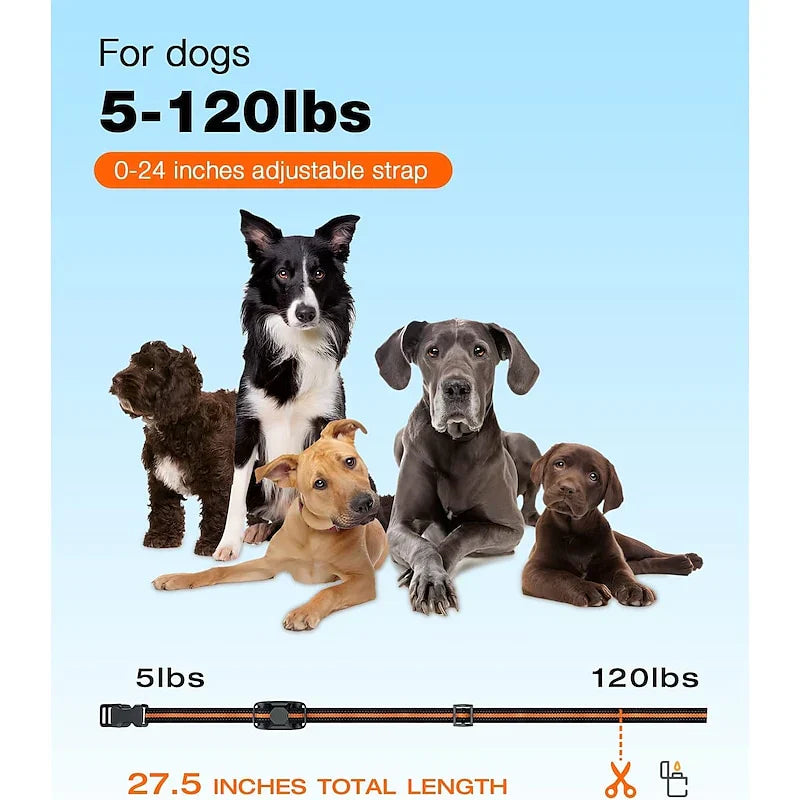 NovaPace Hundetraining Halsband mit 1000m Reichweite, wasserdicht