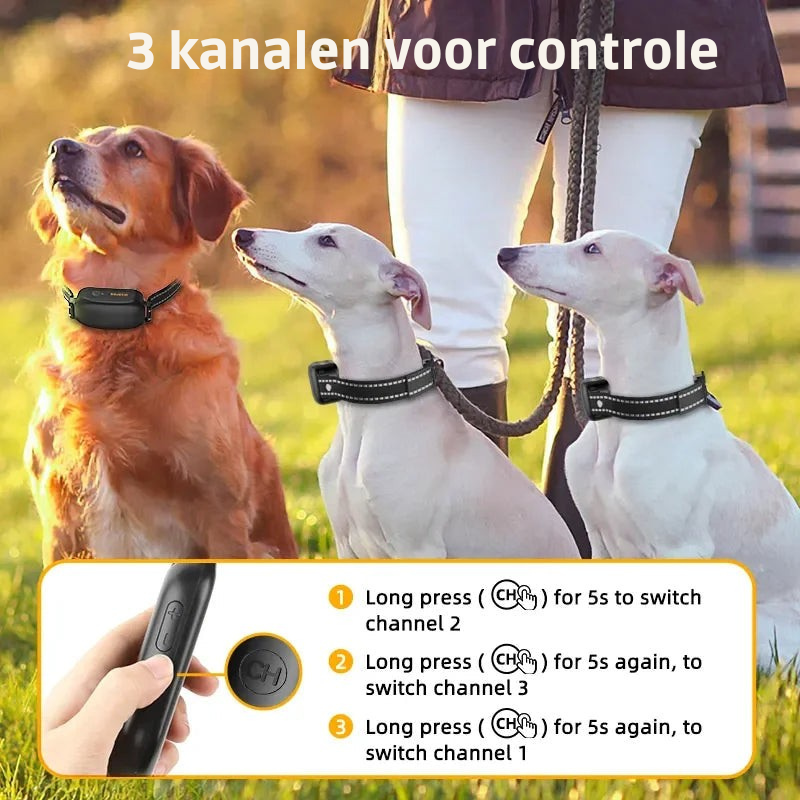 ProTrain – Wiederaufladbares wasserdichtes Hundetrainingshalsband