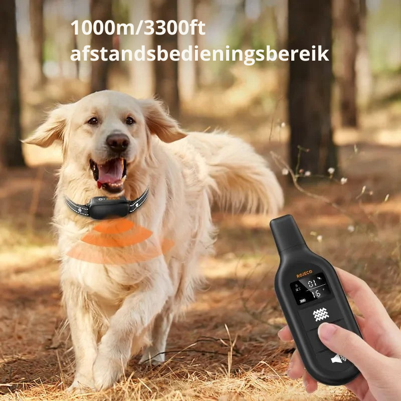ProTrain – Wiederaufladbares wasserdichtes Hundetrainingshalsband