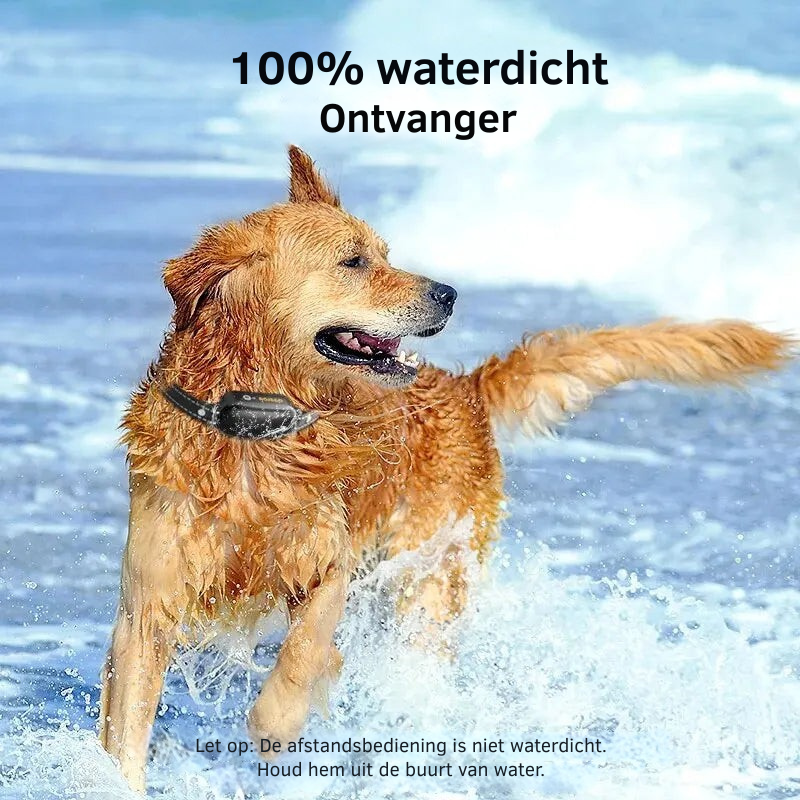 ProTrain – Wiederaufladbares wasserdichtes Hundetrainingshalsband