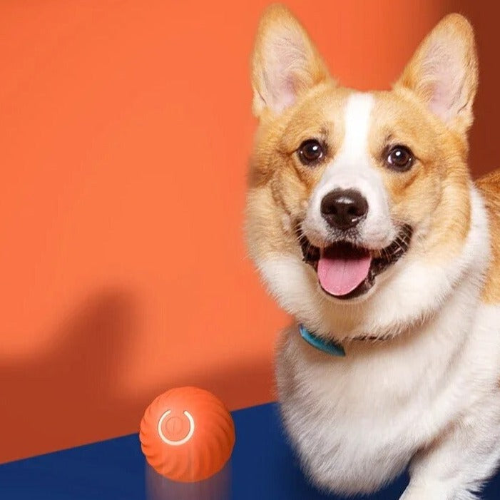 Happyl bal | Unendlicher Spielspaß für deinen tierischen Freund!