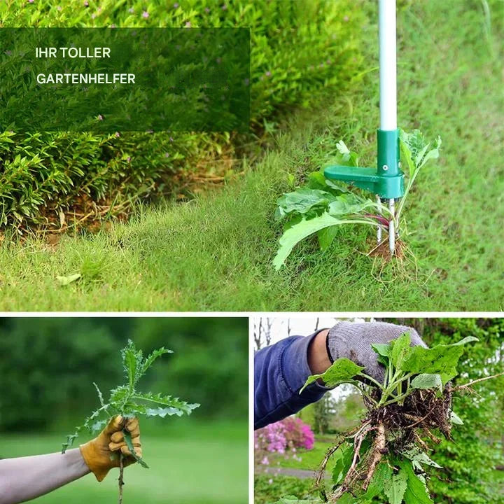 RootVanish™ Stehender Pflanzen-Wurzelentferner für effektive Wurzelentfernung