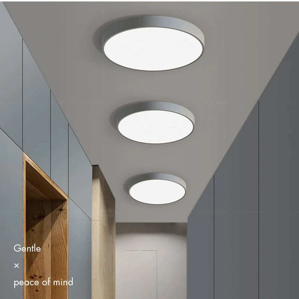 Moderne Minimalistische Runde LED Deckenleuchte 1-Licht