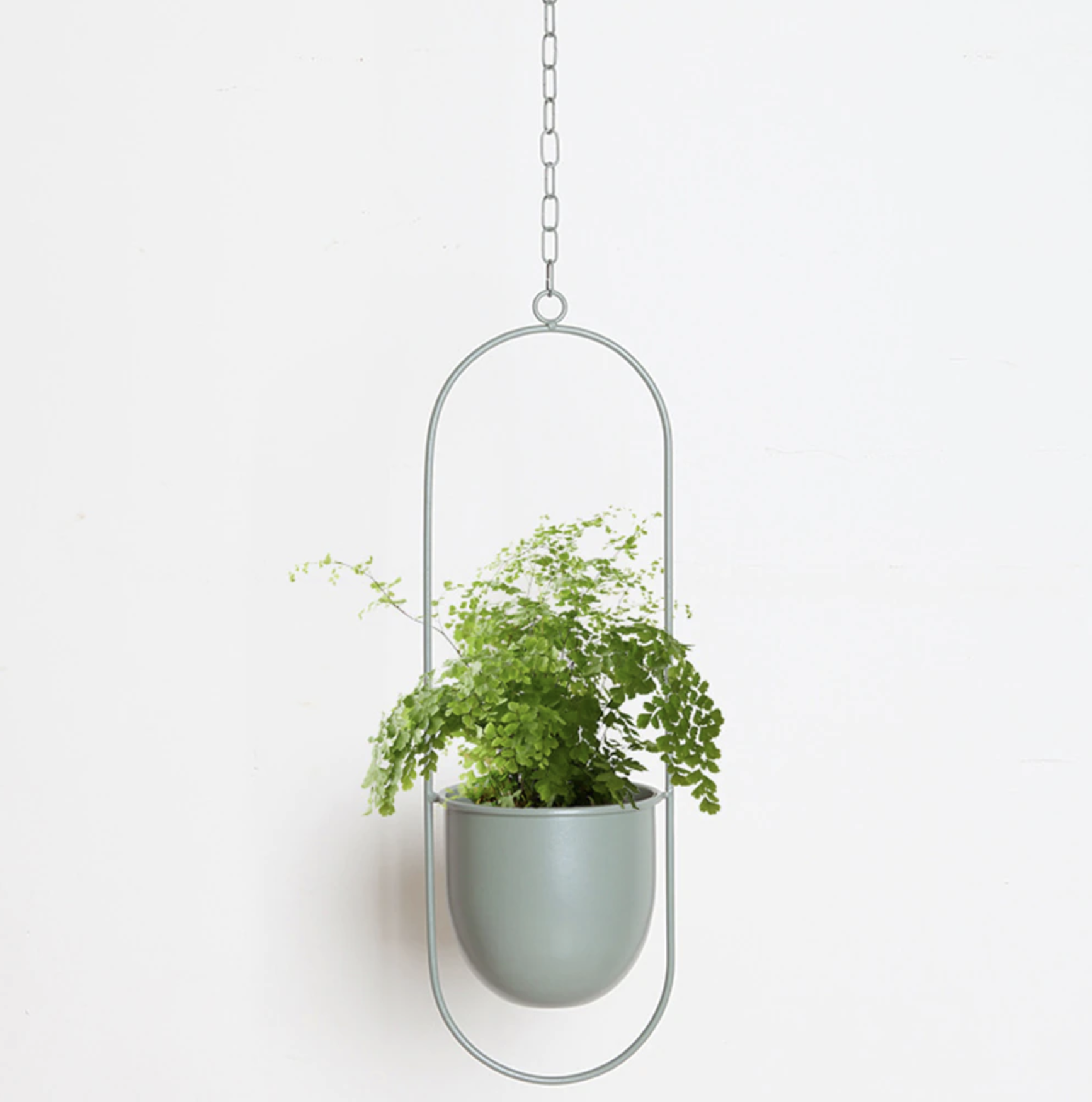 FloraFrame – Eleganter Metall Pflanzenhalter für Wand oder Decke