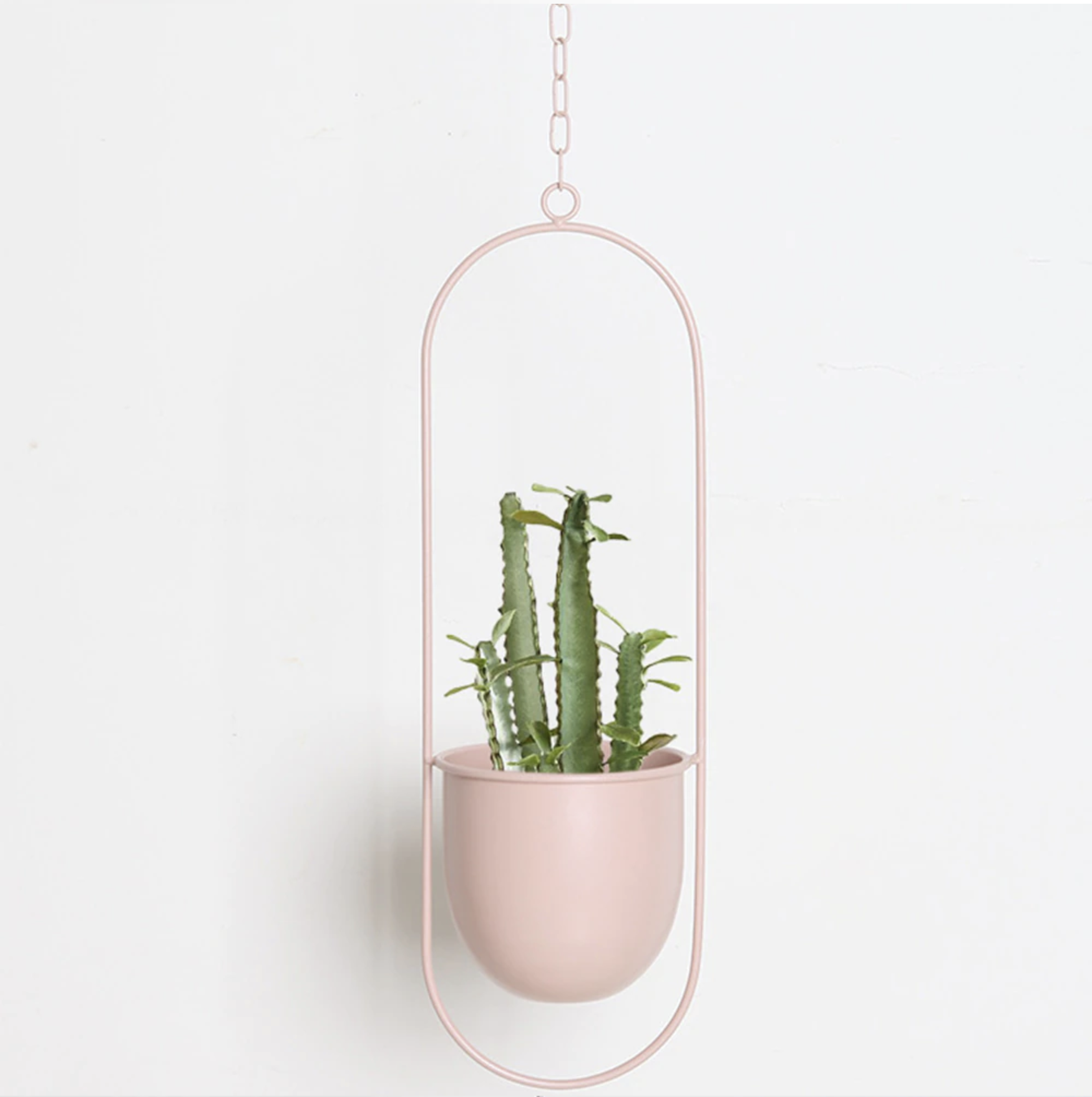 FloraFrame – Eleganter Metall Pflanzenhalter für Wand oder Decke