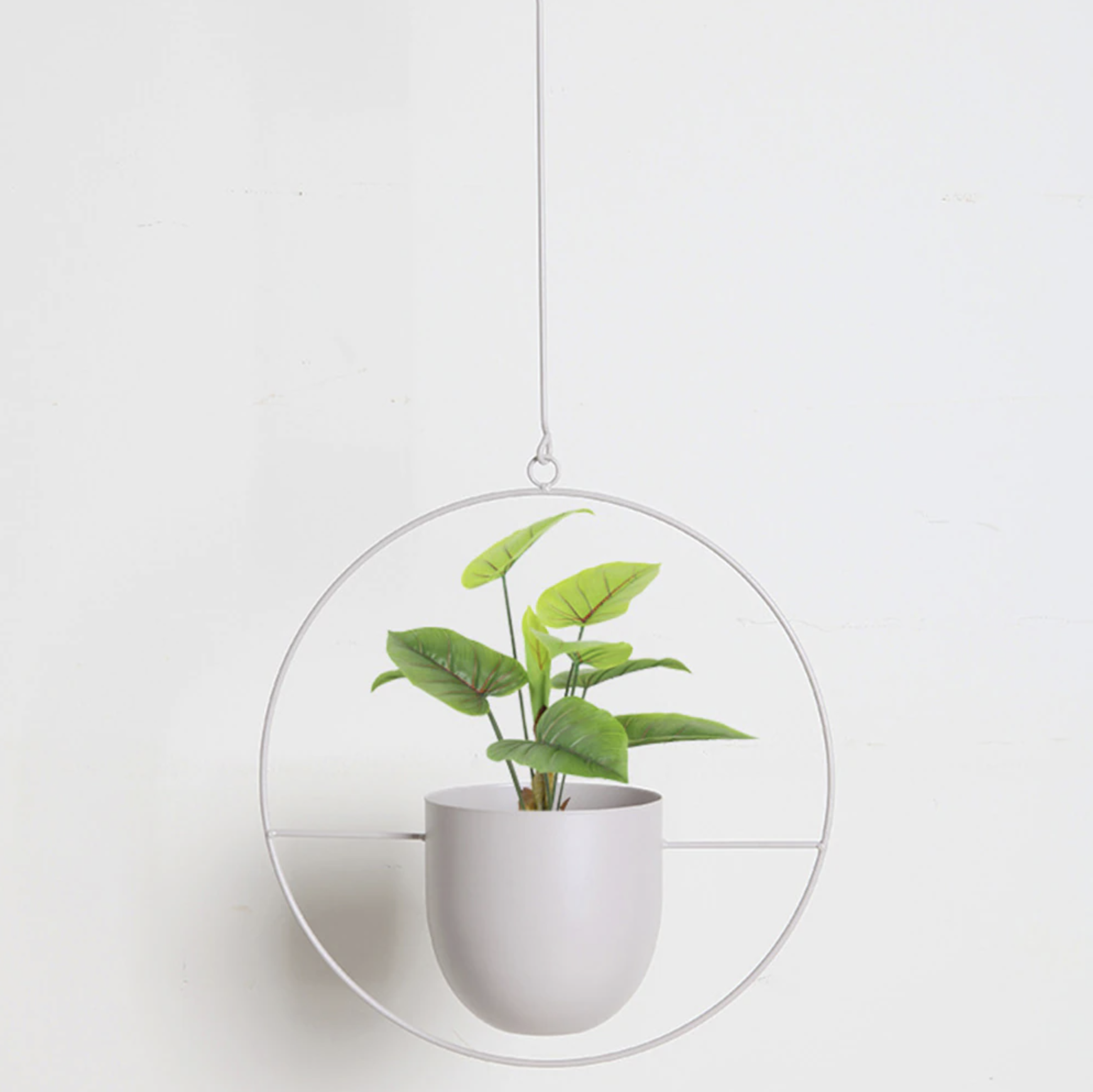 FloraFrame – Eleganter Metall Pflanzenhalter für Wand oder Decke