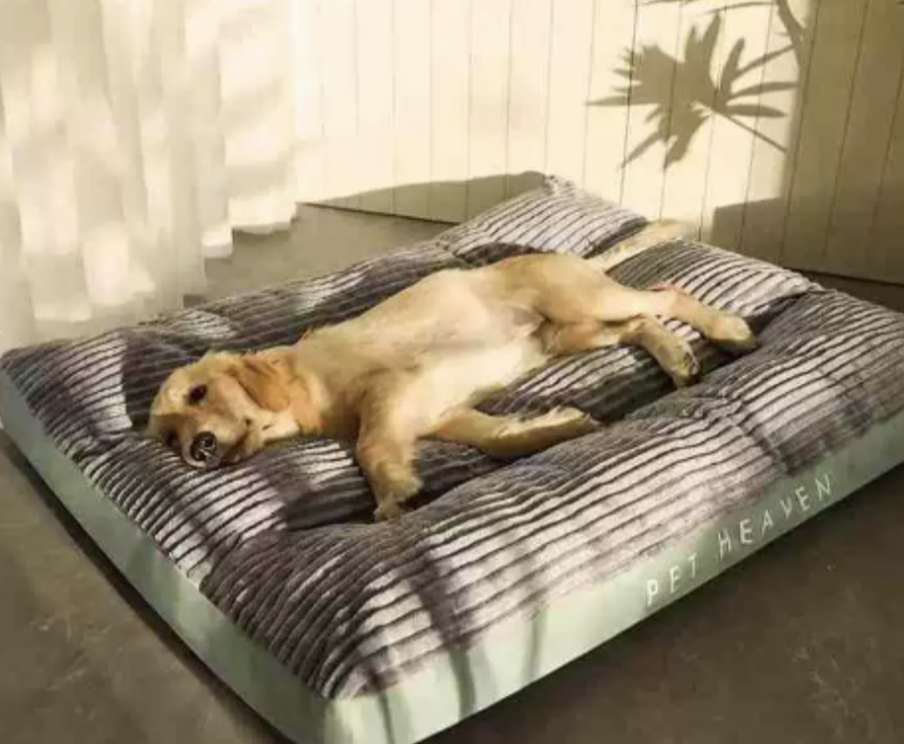 FlauschNest Orthopädisches Hundebett – Kuschelig & Stützend für erholsame Nächte