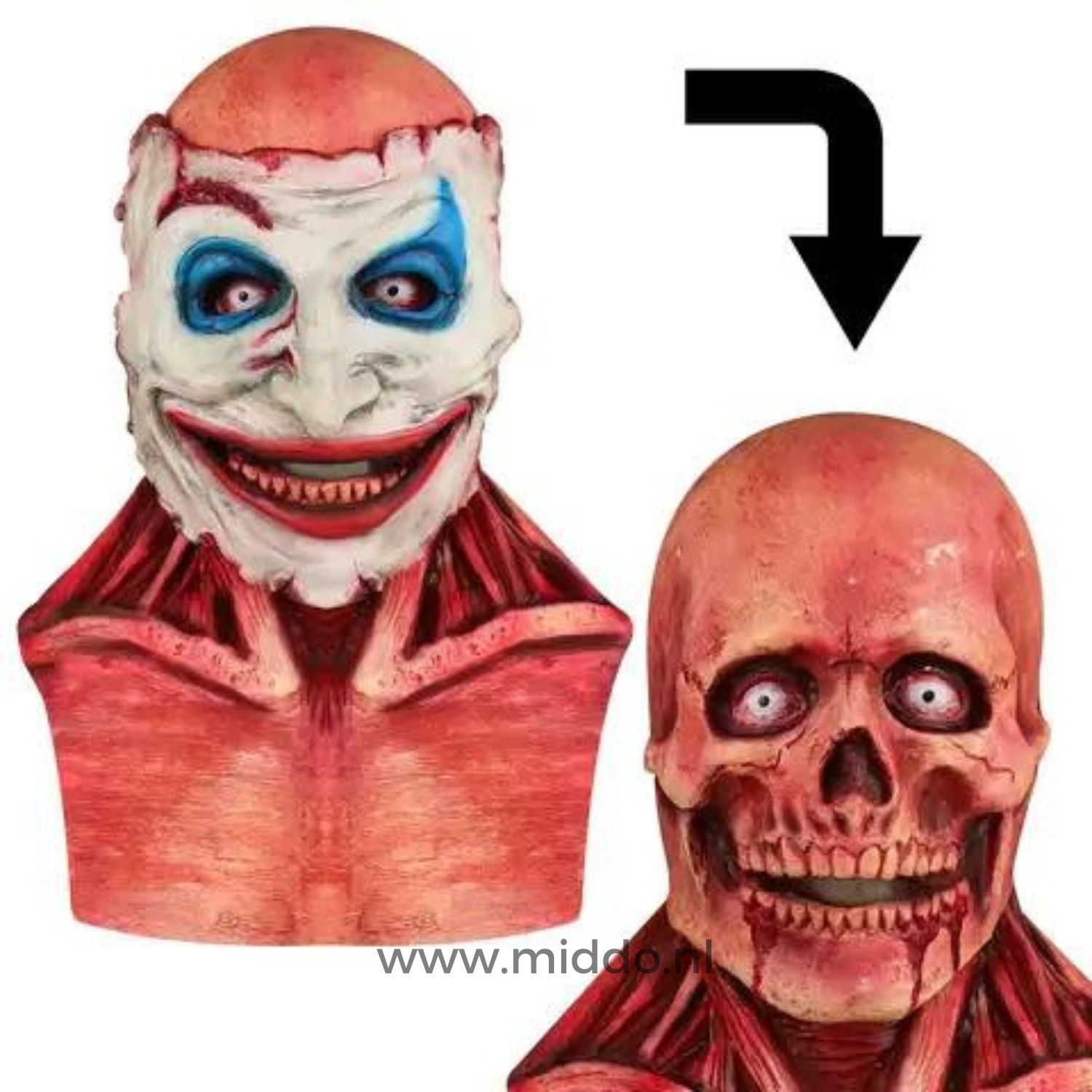 Schädelmaske | Realistisches Doppelmasker
