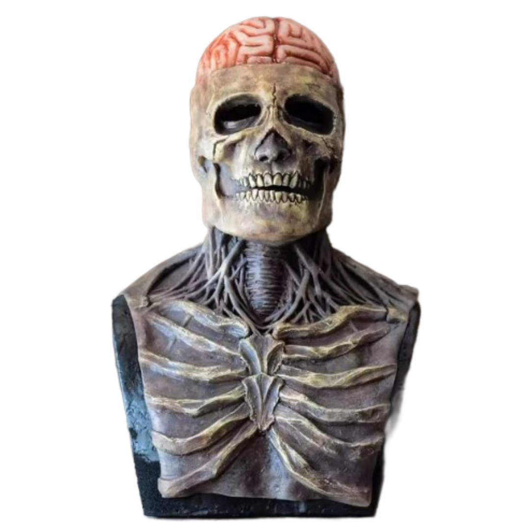 FancySkull Kostüm | Jag jeden in Angst und Schrecken!