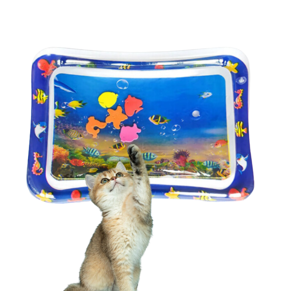 PurrSplash Spielmatte | Ultimativer Wasserspaß für Katzen