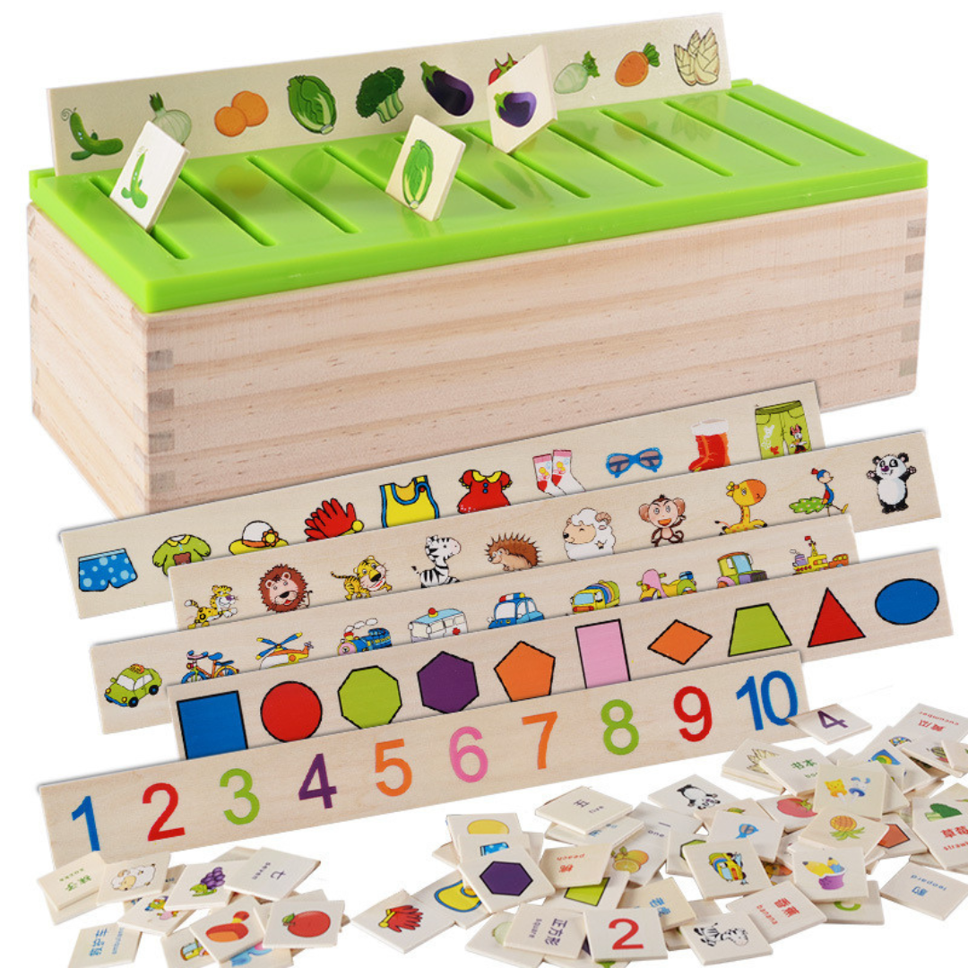 Montessori Holz Sortierbox für Lernen und Entwicklung