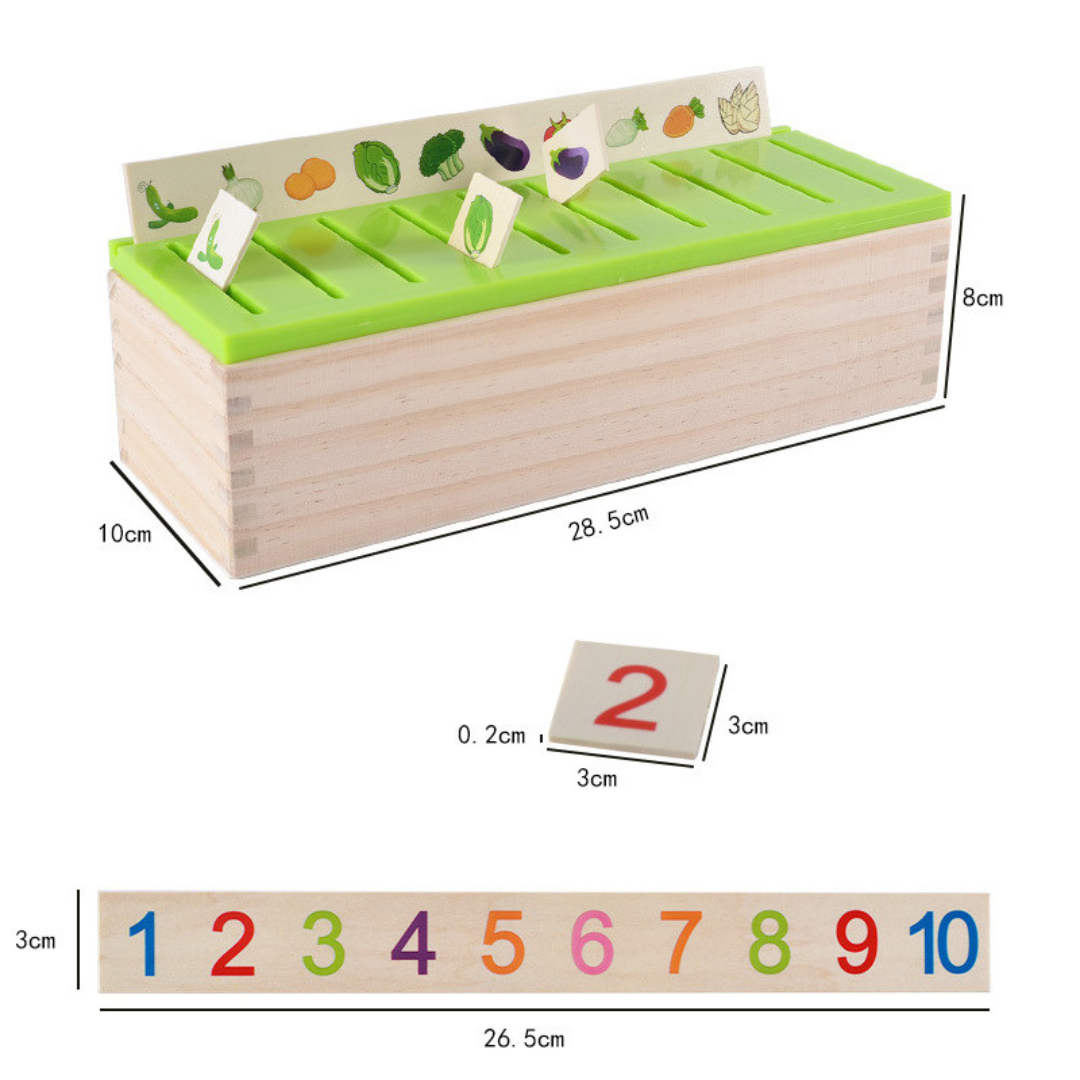 Montessori Holz Sortierbox für Lernen und Entwicklung