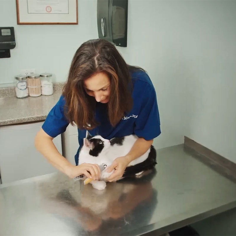 PawGuard Pro Nagelschneider mit intelligenter Sensortechnologie