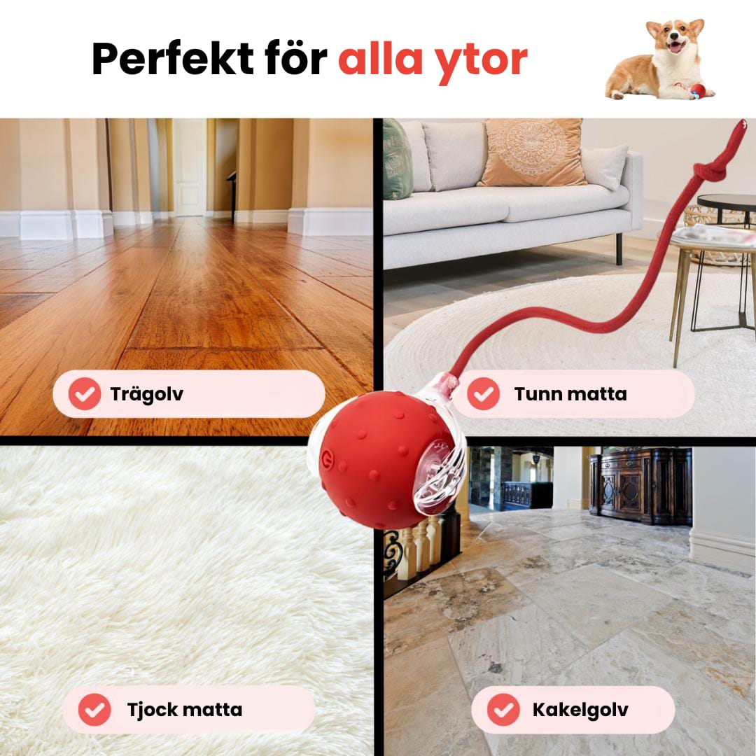 PawTail | Speedy Tail Hundejacke Leicht Wasserfest Atmungsaktiv