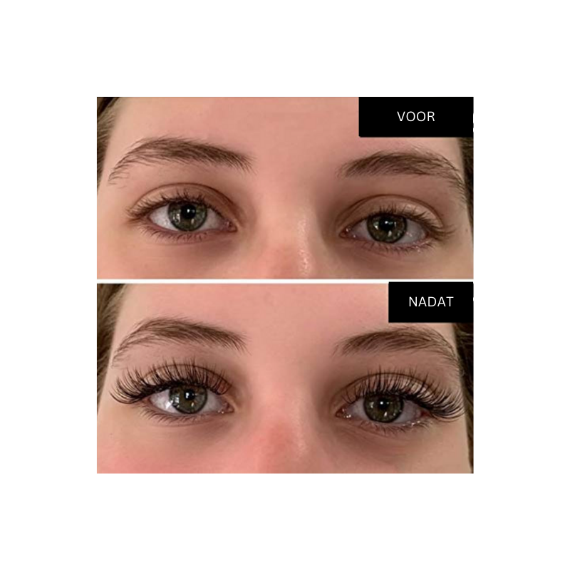 MagnetLash Wimpern | Magische Wimpern ohne Kleber