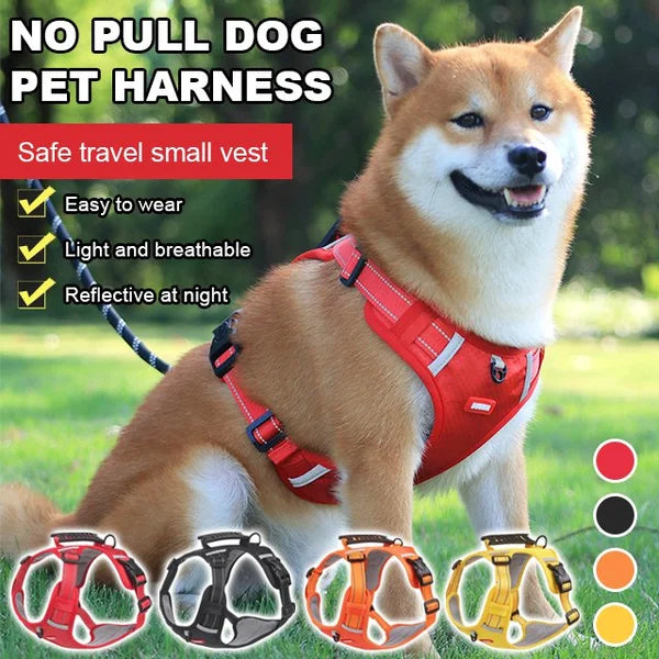 PawEase Soft Hundegeschirr | Komfort, Sicherheit und Kontrolle