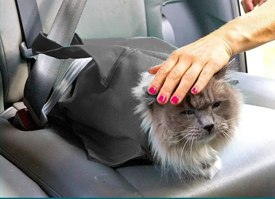 PurrfectTravel | Pflege- und Reisetasche
