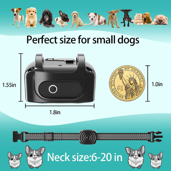 Antibellhalsband für kleine Hunde