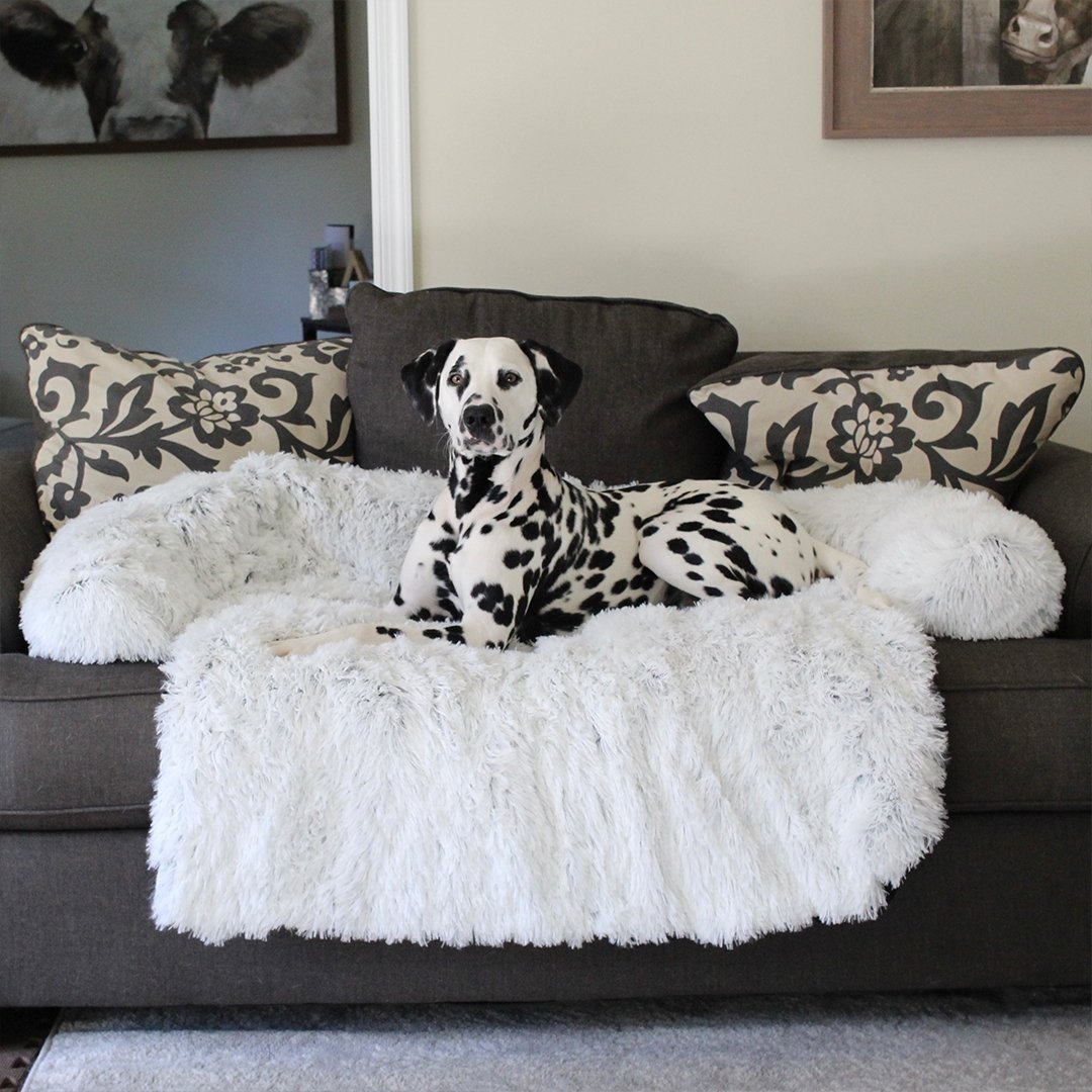 PawsyPillow | Waschbares, warmes und wasserdichtes Herbstkissen für deinen Hund