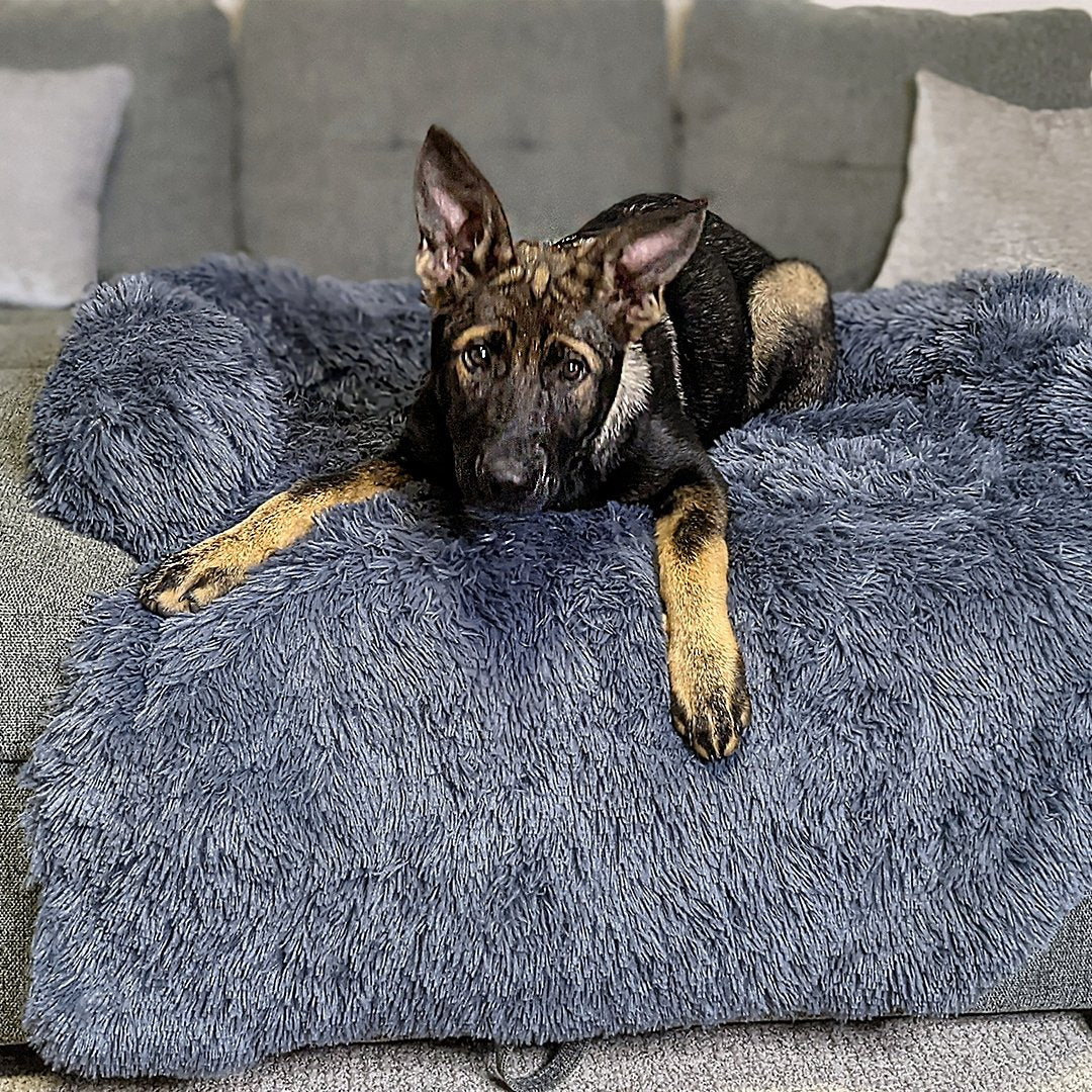PawsyPillow | Waschbares, warmes und wasserdichtes Herbstkissen für deinen Hund