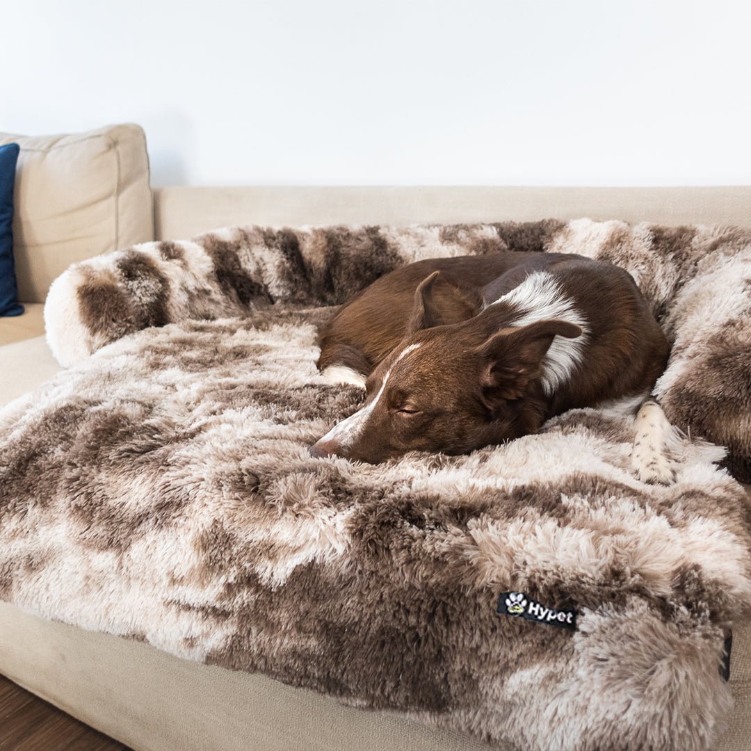 PawsyPillow | Waschbares, warmes und wasserdichtes Herbstkissen für deinen Hund