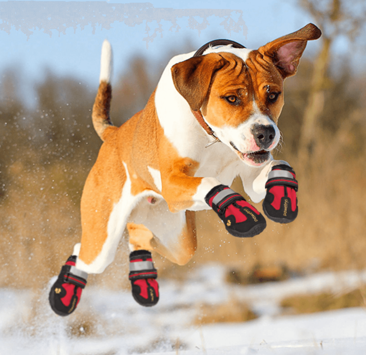 Wasserdichte Antirutsch-Hundestiefel - Optimale Schutz
