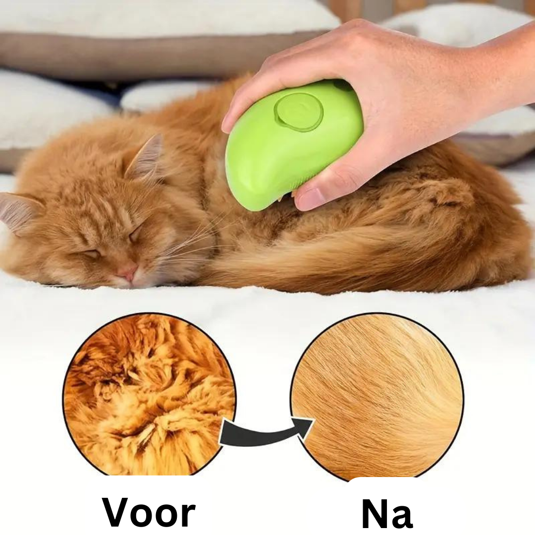 SteamPaws | Dein treuer Vierbeiner