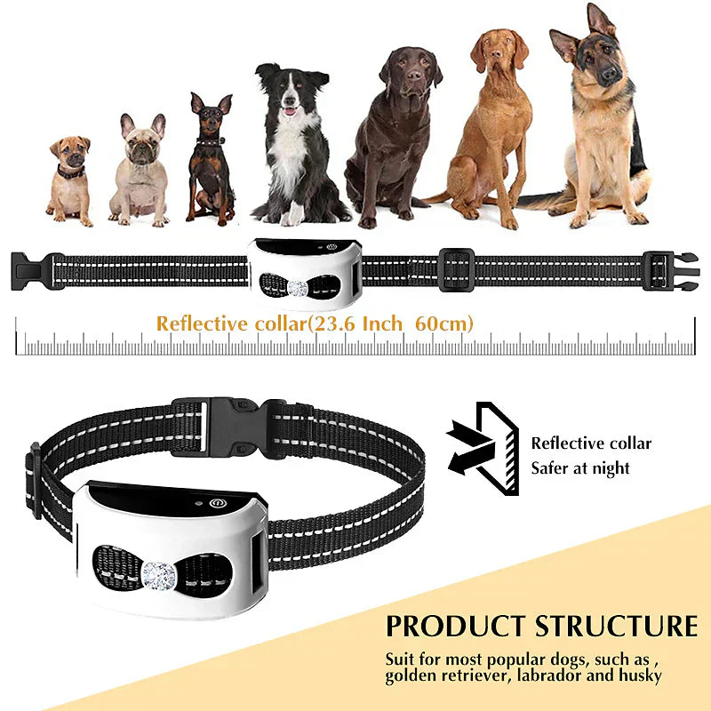 Kabellose Zaun & 2-in-1 Trainingshalsband - Wasserdicht & Wiederaufladbar