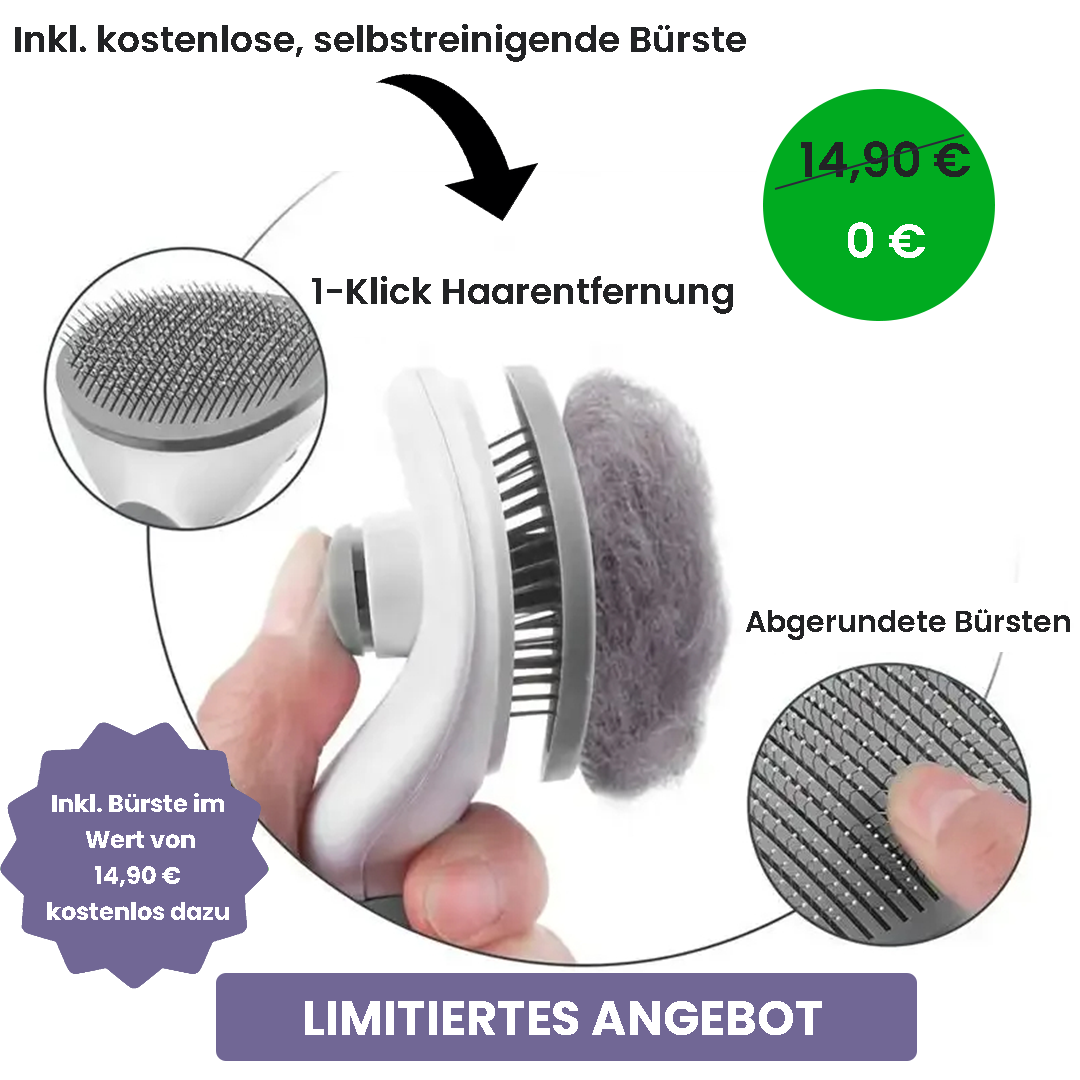 PawsyPillow | Waschbares, warmes und wasserdichtes Herbstkissen für deinen Hund