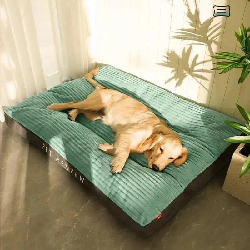 FlauschNest Orthopädisches Hundebett – Kuschelig & Stützend für erholsame Nächte