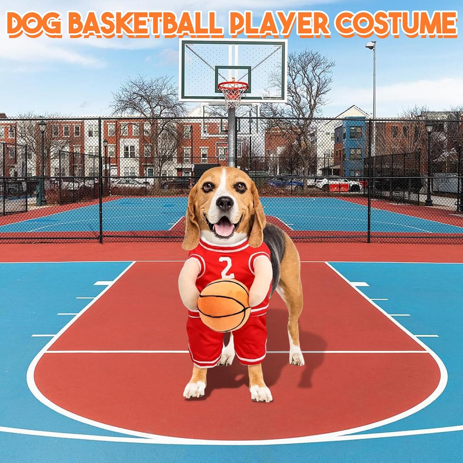 PawChic Luxe Hundebasketball Ensemble | Stilvolles Outfit mit passendem Ball für aktive Welpen