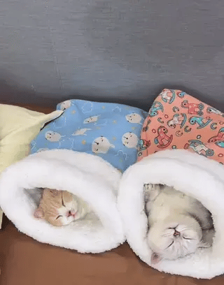 KatzenNest Komfortbett | Warm, gemütlich und sicher für glückliche Katzen!