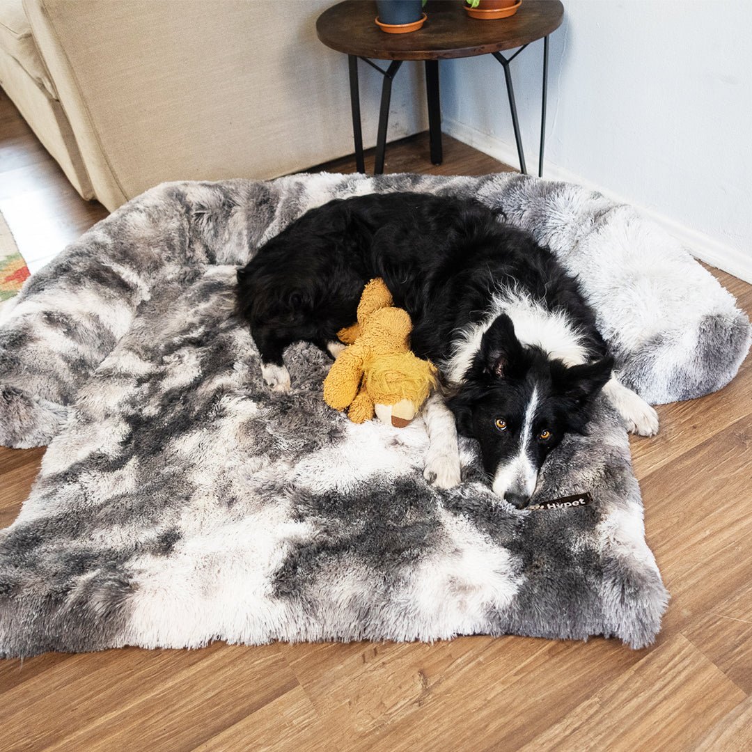 PawsyPillow | Waschbares, warmes und wasserdichtes Herbstkissen für deinen Hund