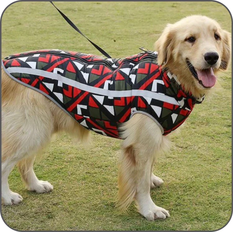 HydroHond Regenjacke ProShield – Wasserdichte und Atmungsaktive Hundejacke für Kaltes Wetter