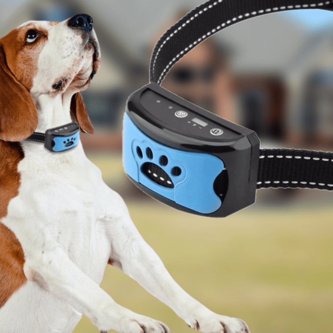 Norvo Anti-Bell Halsband - Sicher | Effektiv | Komfortabel