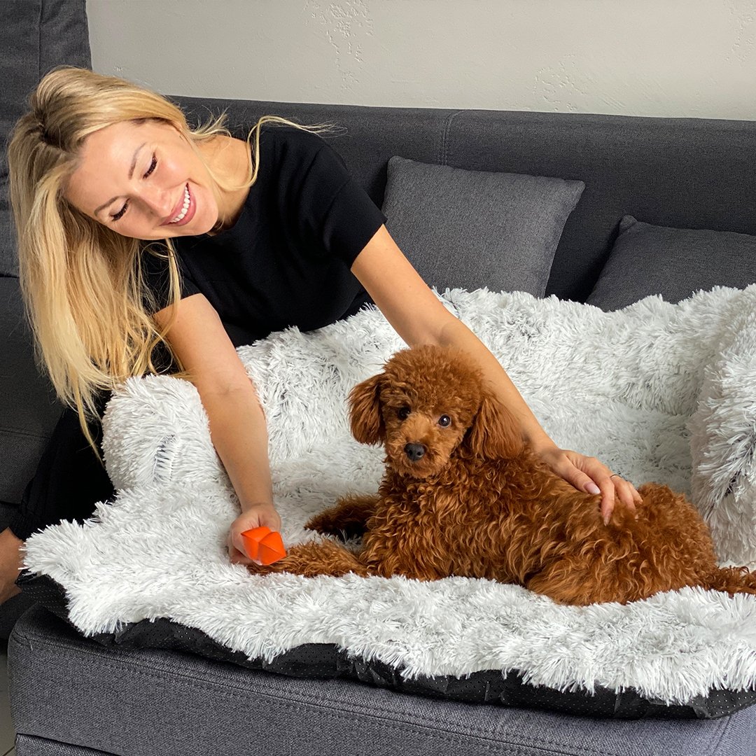 PawsyPillow | Waschbares, warmes und wasserdichtes Herbstkissen für deinen Hund