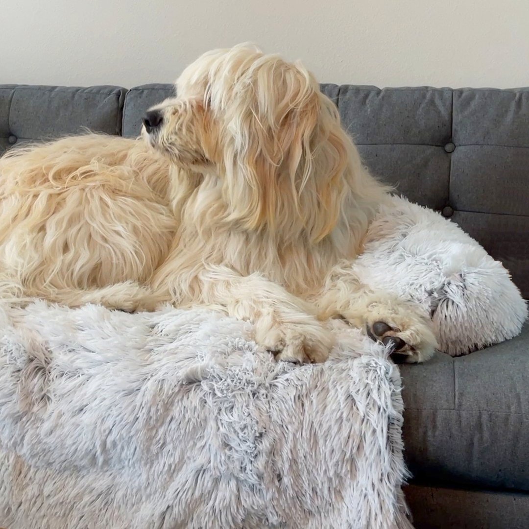 PawsyPillow | Waschbares, warmes und wasserdichtes Herbstkissen für deinen Hund