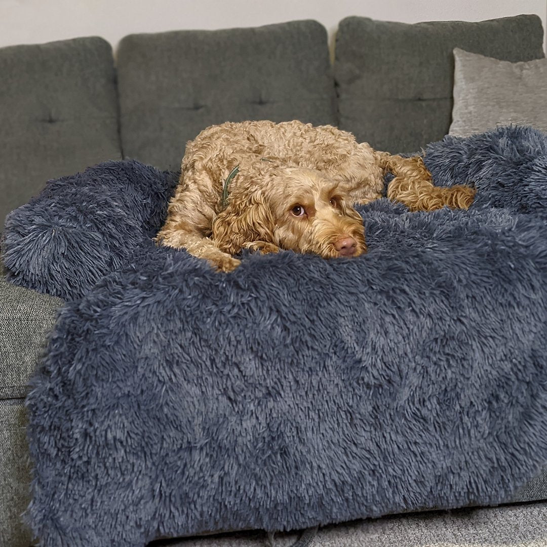 PawsyPillow | Waschbares, warmes und wasserdichtes Herbstkissen für deinen Hund