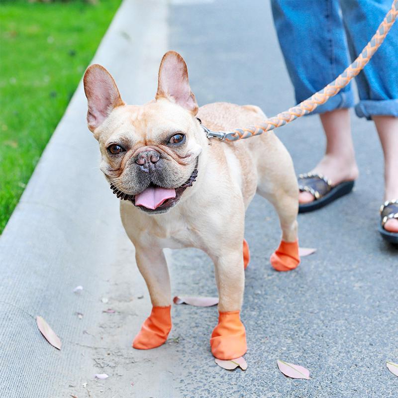 PootShield Wasserdichte Hundeschuhe mit Grip und schützendem Komfort