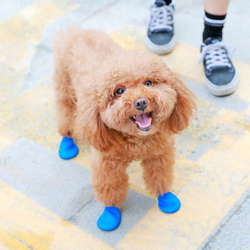 PootShield Wasserdichte Hundeschuhe mit Grip und schützendem Komfort