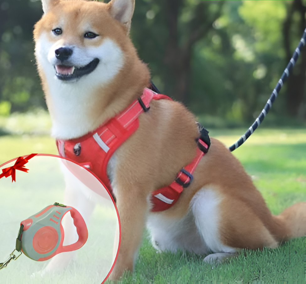 PawEase Soft Hundegeschirr | Komfort, Sicherheit und Kontrolle