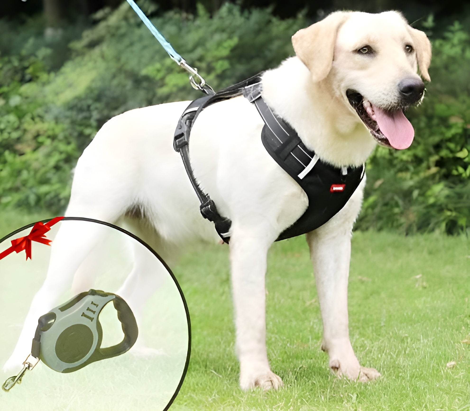 PawEase Soft Hundegeschirr | Komfort, Sicherheit und Kontrolle